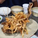 대포쏘는날 이미지