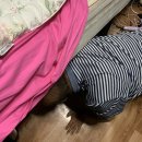 정희카센타 | 알고보니 일기장 아니고 먹기장