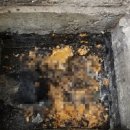 24시하수구화장실변기막힘씽크대막혔을때뚫는곳 이미지