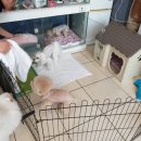 호텔라임 이미지