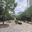 공간동백 이미지