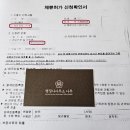 행정사사무소 나무 이미지