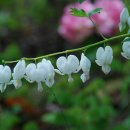 우리-다-가치 이미지