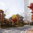 서강로54번길 이미지