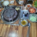 은행나무 갈매기 이미지