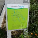 [Road number 1, season 2] 국도1호선 도보여행 열세번째 이야기- 안양 평촌에서 도림천역까지 이미지