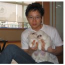 개랑나랑 이미지