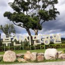 부산시민공원 이미지