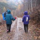 서원동-2 이미지