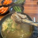 고집센 그집갈비탕 (상주점) 이미지