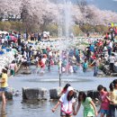 금산천길 이미지