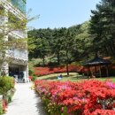 그랜드자연요양병원 이미지