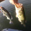 송산2교 이미지