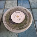4375 | [Review] 대전 빵지순례 디저트 맛집: 괴정동 클라우드탠 푸딩 예약, 포장, 가격 및 내돈내산 후기