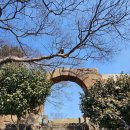 서해여행 -(2) 보령으로 이미지