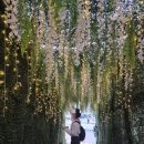 제이트리 이미지