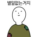 날스바이크 네이버블로그