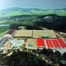 서울승마힐링캠프 이미지