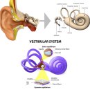 동의한의원 이미지