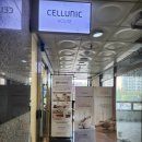 신영메디 | 셀루닉하우스 부평점 방문후기 #메디스파 #파우제