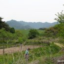 이백면 효기마을 이미지