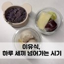 하루세끼 | 후기 이유식 하루 세끼 시작 시기｜9개월 아기 하루 세끼 스케줄과 분유량