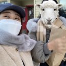 화이트홀스 커피 네이버블로그