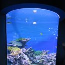 장영훈 행정사 사무소 이미지