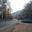 낙동정맥 | [영남알프스, 낙동정맥 인증] 고헌산 정상 최단코스 등산 후기