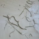 중흥아파트 이미지