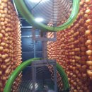 동철농장 이미지