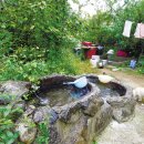 금옥이 민박 이미지