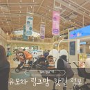 지이오 | 휴대형 유모차 에그 Z 핫딜 링크맘 정보 공유