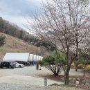 지지벨리유명산오토캠핑장 이미지