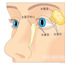 구월김안과의원 이미지