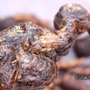 노내골농장 이미지