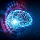 새로운 AI 도구는 대학 운동 선수의 "보이지 않는" 뇌 손상을 발견하는 데 도움이 될 수 있습니다. 이미지