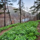 종근농장 이미지