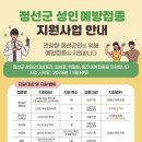 정선연세외과의원 네이버블로그