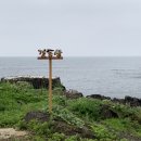 창조문구사 | 제주 구좌읍 소품샵 :: 여름문구사 - 나나이로 - 아코제주