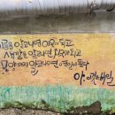 송정제방길 이미지