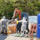 도비농장 이미지