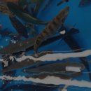 함양상회 이미지