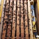 응애농원 이미지