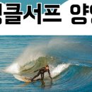 엉클서프