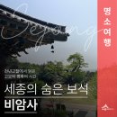 비암사 | 세종 힐링명소 800년 느티나무가 있는 천년고찰 비암사(권은경 기자)