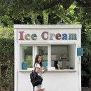 노 웨어(NO WHERE) | 5세 아이와 여행 , 육아맘의 자존감을 지켜주는 가방, 노메러웨얼 백팩 후기