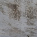 신원동 덕명교비 이미지