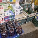 송산농산 네이버블로그