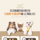 청라종합동물병원 이미지